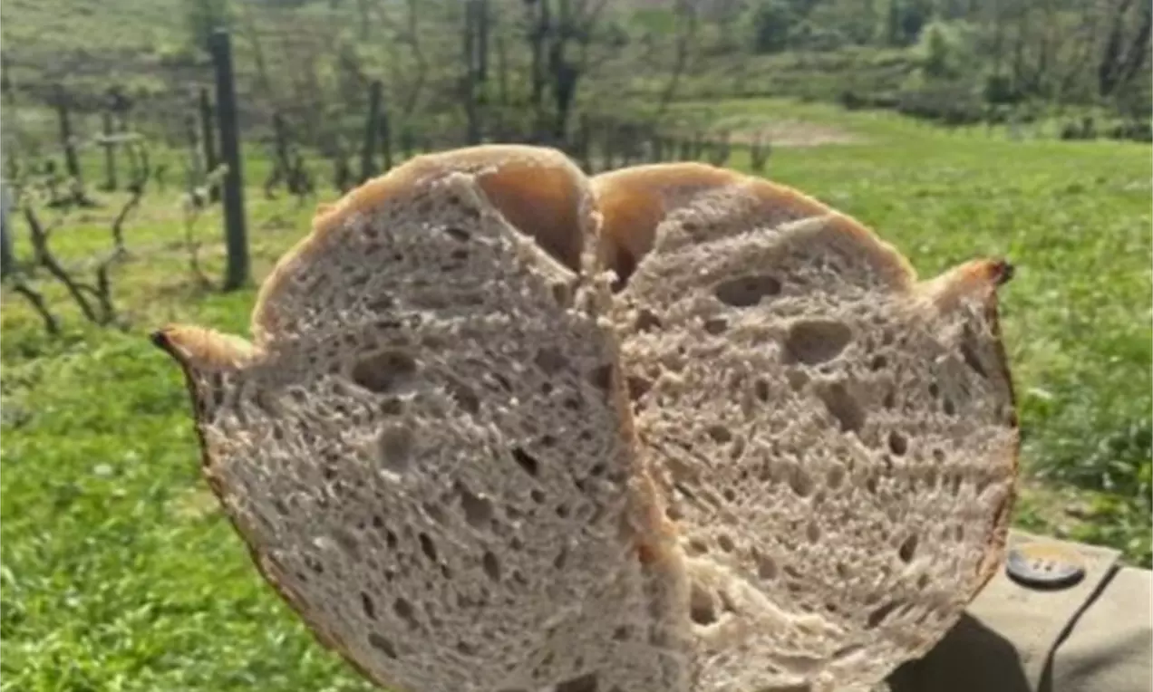 Picture - (min-width: 768px)